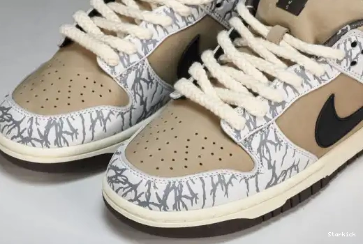  Nike  Dunk CT5053-010 QS SB PRM Low 0510